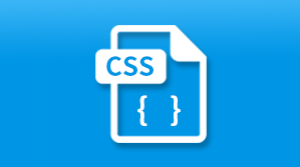 CSS 參考手冊