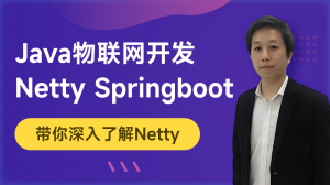 Java物聯網開發(netty springboot mq)