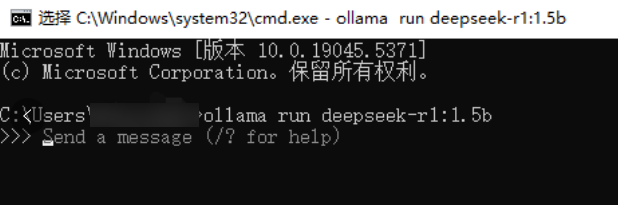 ollama run deepseek-r1:1.5b