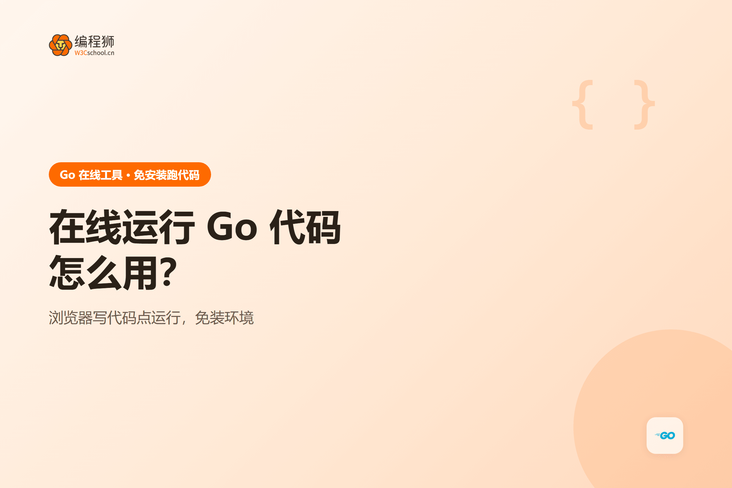 Go 代码在线运行怎么用？