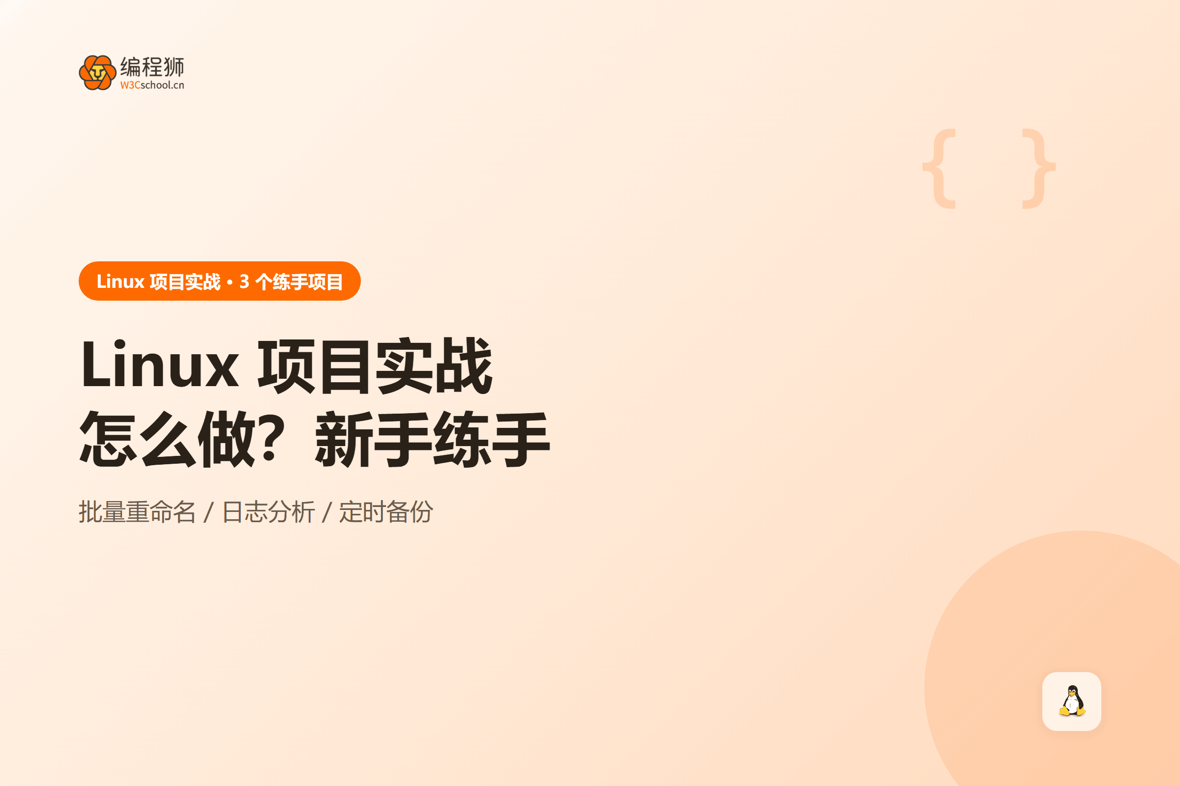 Linux 项目实战封面