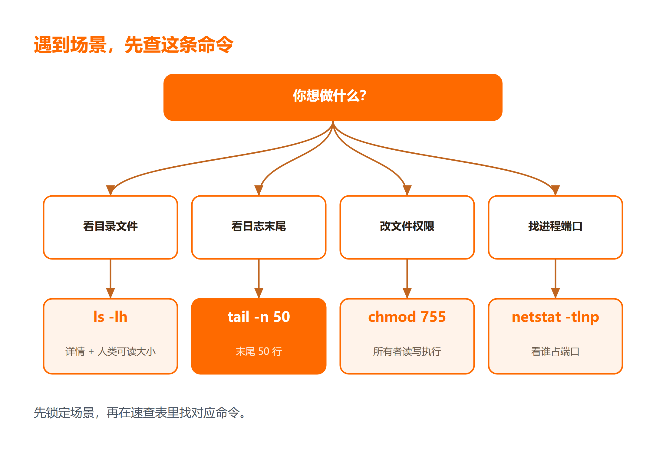 Linux 场景对应命令怎么选