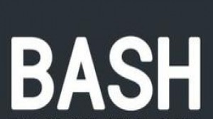 Bash 教程