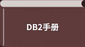 DB2 中文手册
