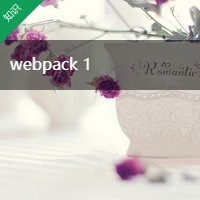 webpack 1