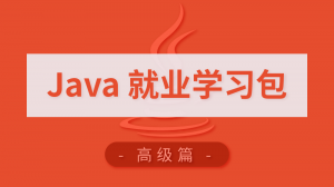 Java就业学习包-高级篇
