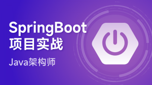 SpringBoot项目实战详讲