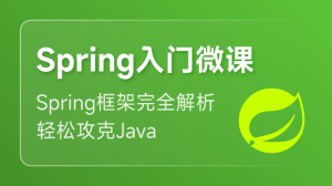 Spring 入门课程（Java 开发框架）