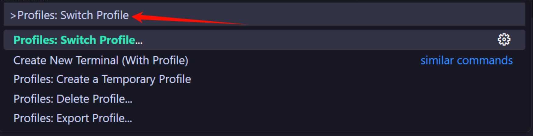 CodeBuddy IDE Profile
