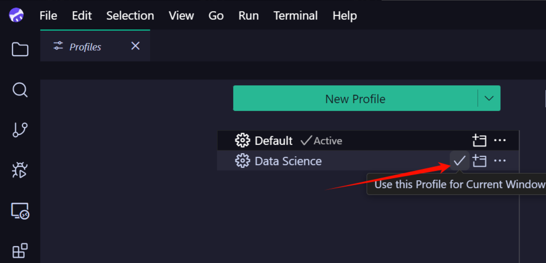 CodeBuddy IDE Profile