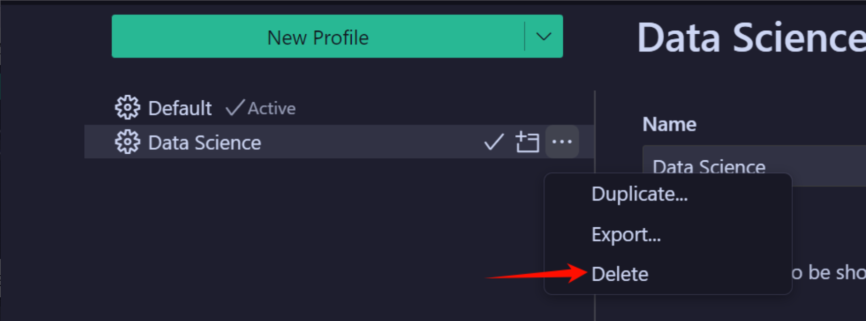 CodeBuddy IDE Profile