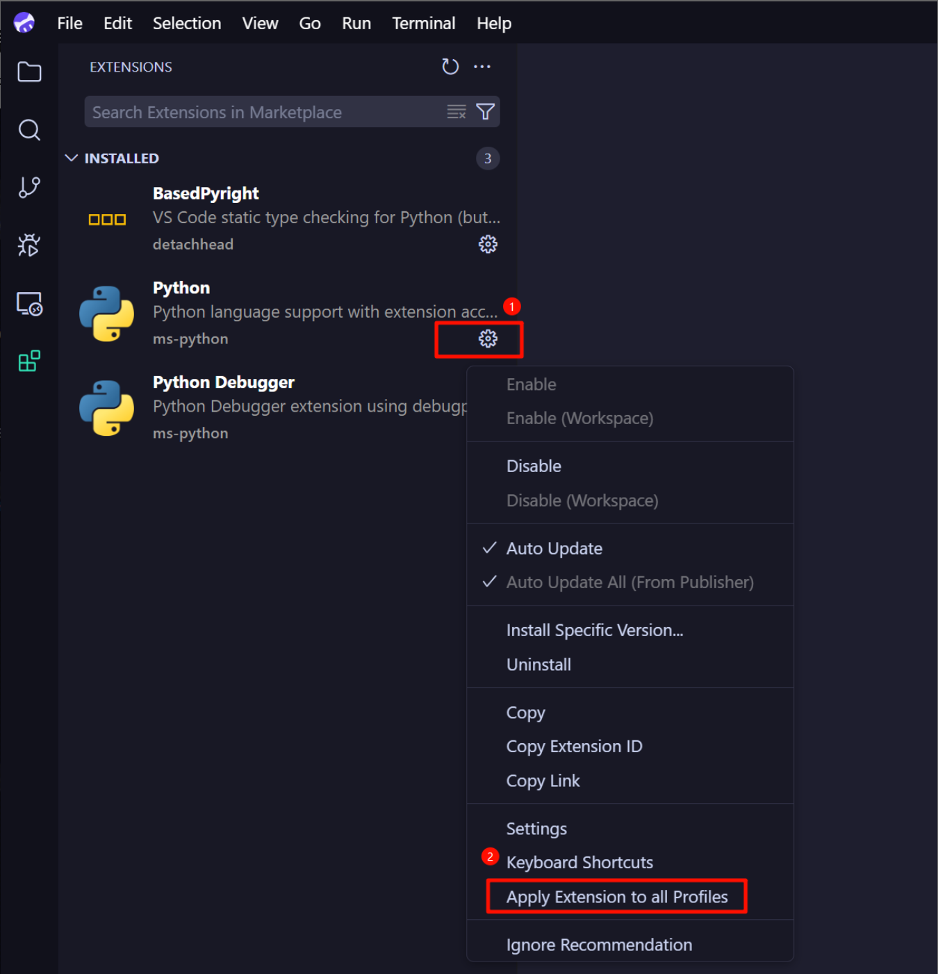 CodeBuddy IDE Profile