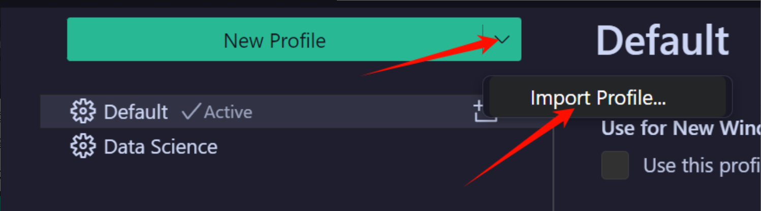 CodeBuddy IDE Profile