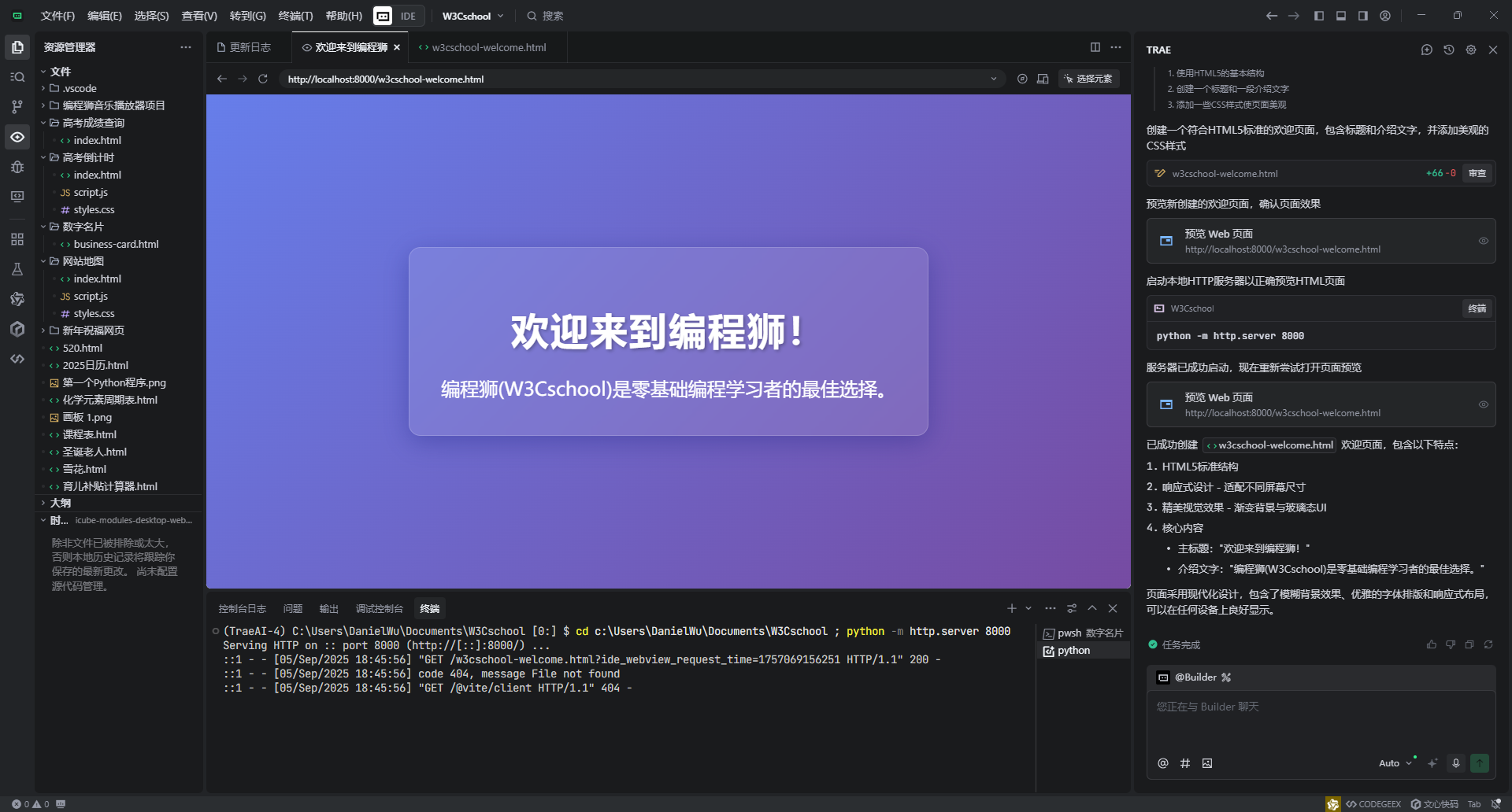 TRAE Agentic Coding 模式