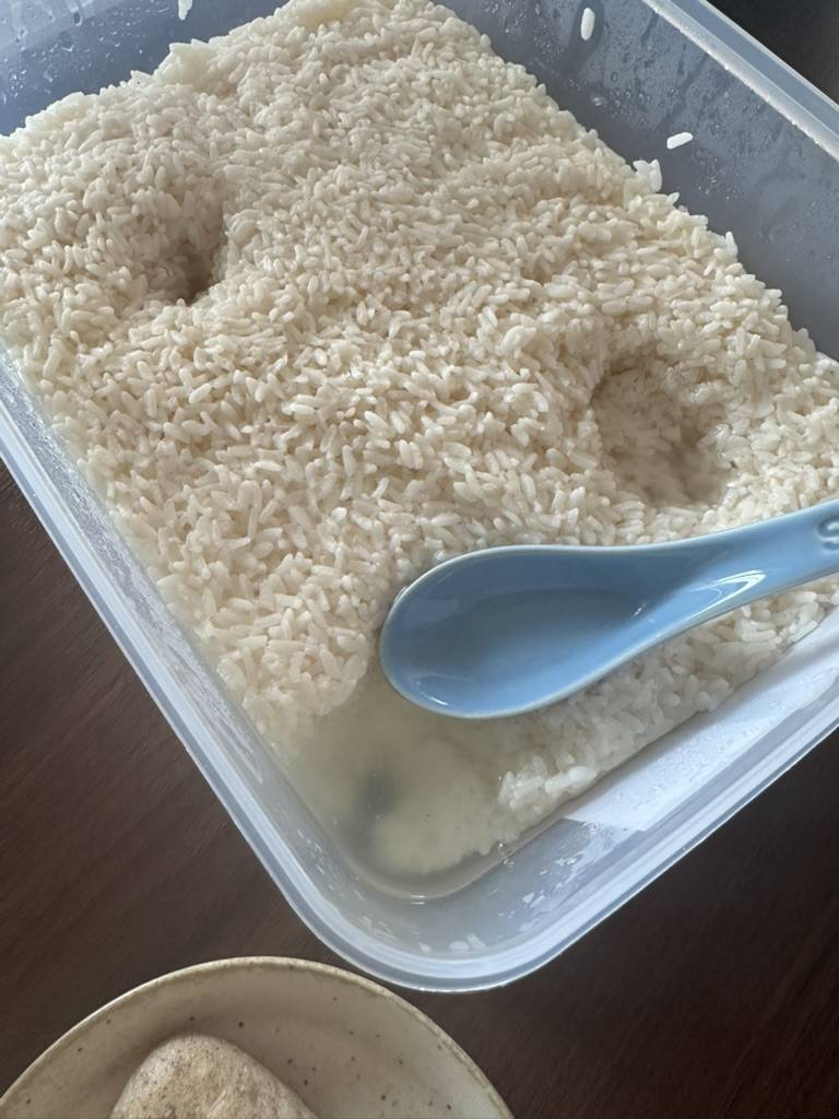 酒酿成品