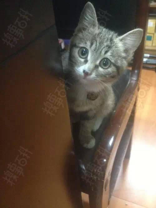 2015-05-20/555c5ff2cc861