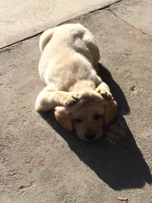 2015-05-20/555c607b16428