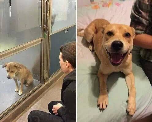 2015-05-20/555c634fc2cf8