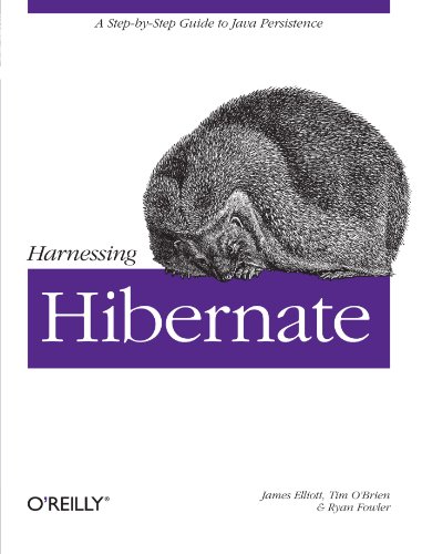 Hibernate的治理